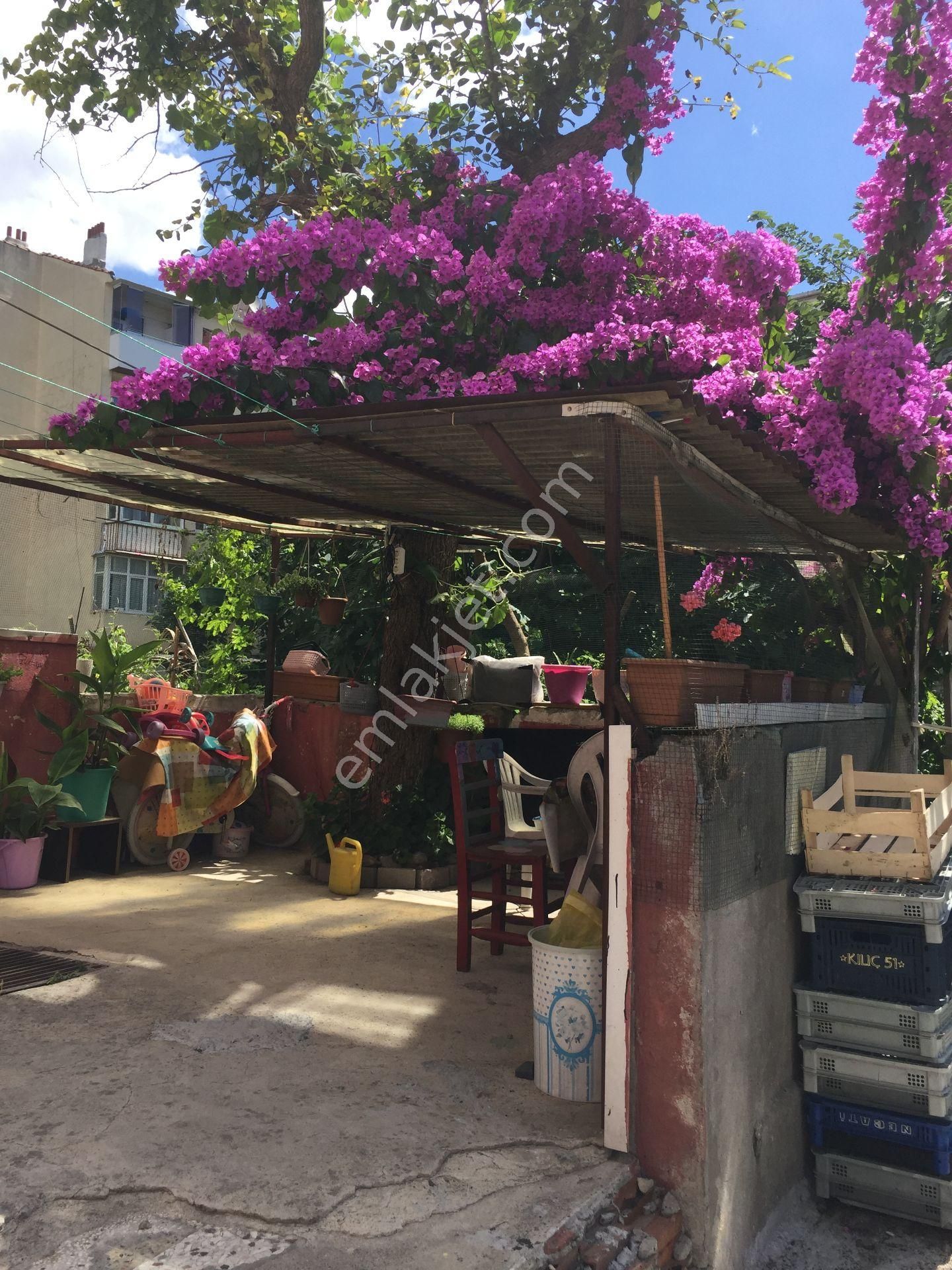 Sümbülefendi-hacı Piri Sk.-perşembe Pazarında -bahçeli 2 Ad. Daire - Görsel 10