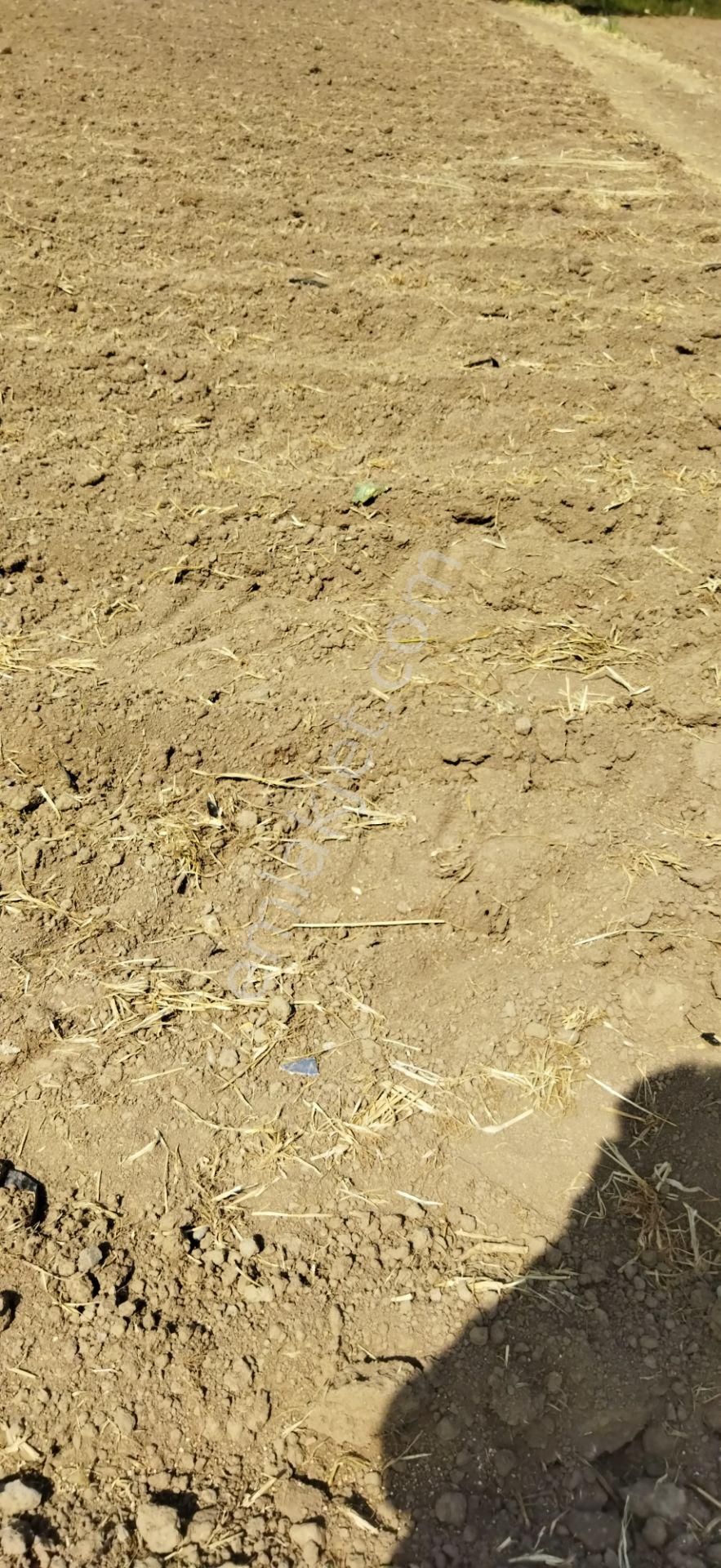 Yetiş'ten Mustafakemalpaşa Atariyede İlçe Merkezinde Ana Yola Cepheli Hobi Bahçesi 1 Dönüm