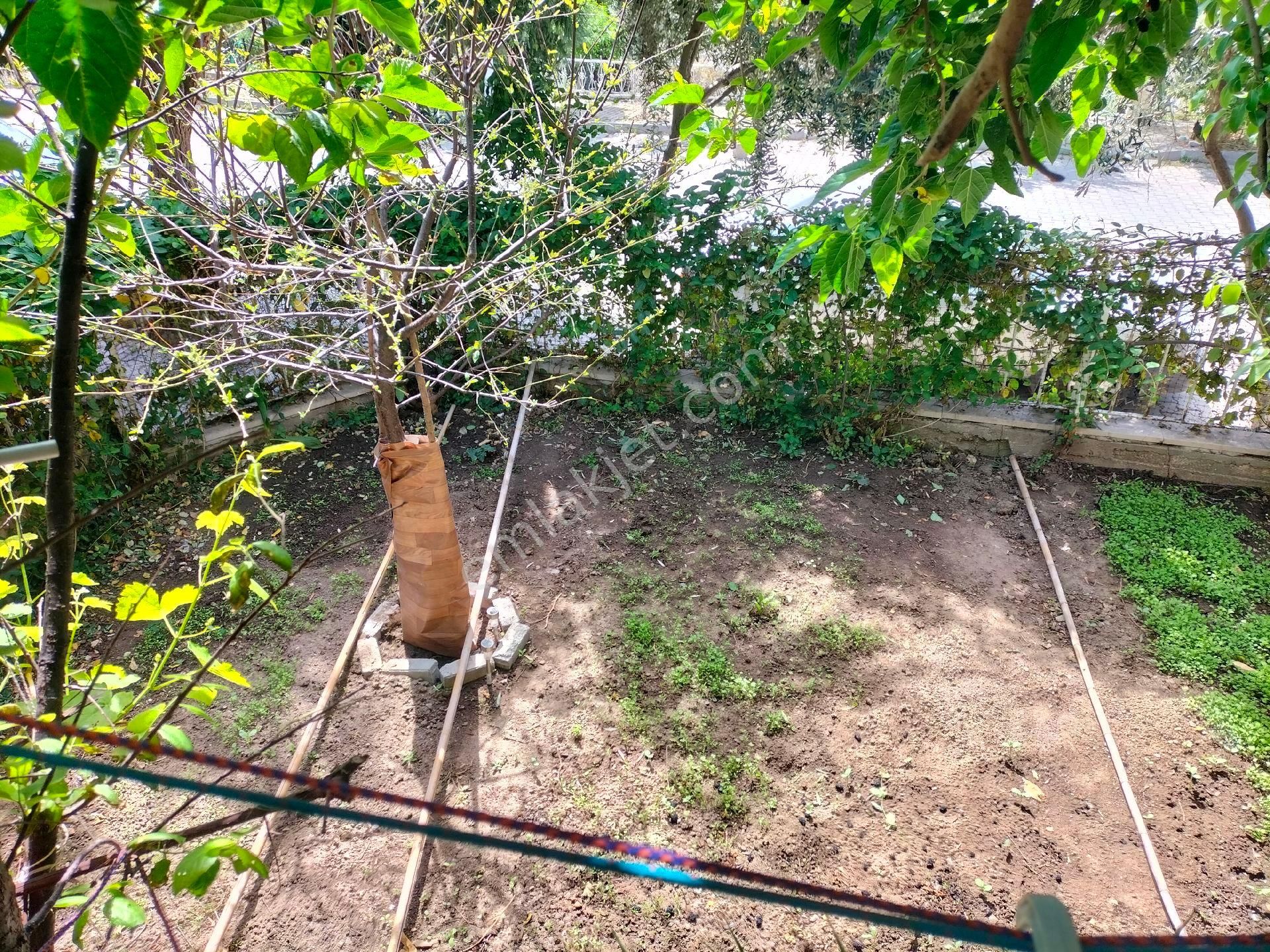 Aydın Kuşadası Türkmen Mahallesinde 5+1 Bahçeli Villa - Görsel 20