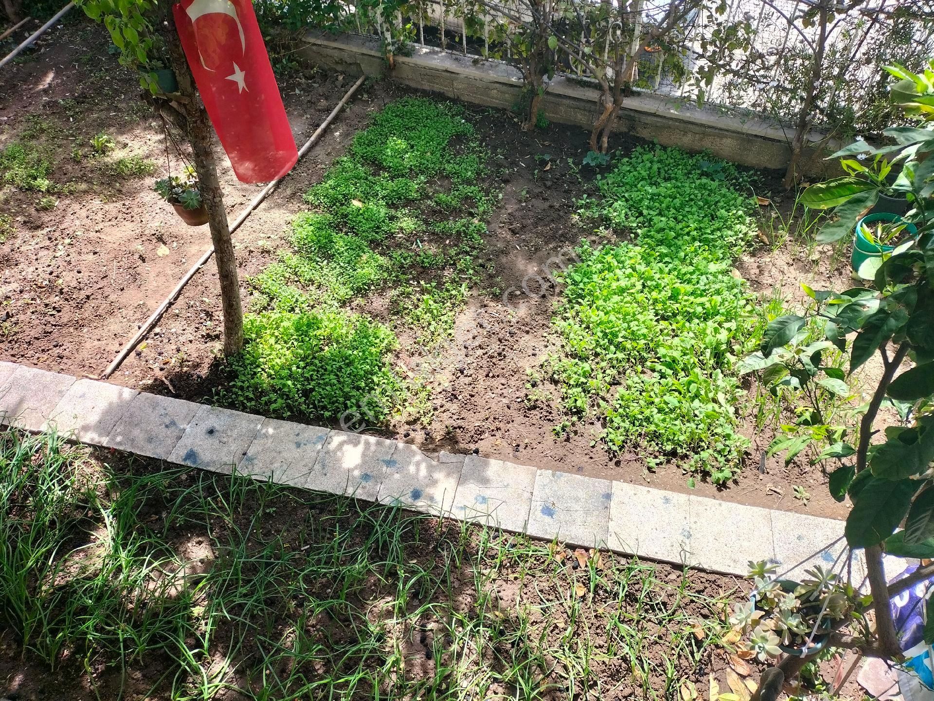 Aydın Kuşadası Türkmen Mahallesinde 5+1 Bahçeli Villa - Görsel 24