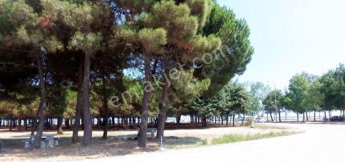 Samsun 19mayıs Ilcesinde Denize 200 Metre Yakınlıkta Prim Yapan Mevkide Villalık Satılık Arsa - Görsel 6