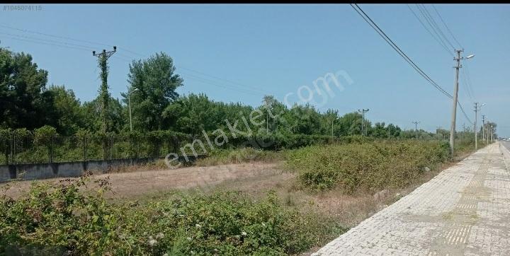 Samsun 19mayıs Ilcesinde Denize 200 Metre Yakınlıkta Prim Yapan Mevkide Villalık Satılık Arsa - Görsel 13