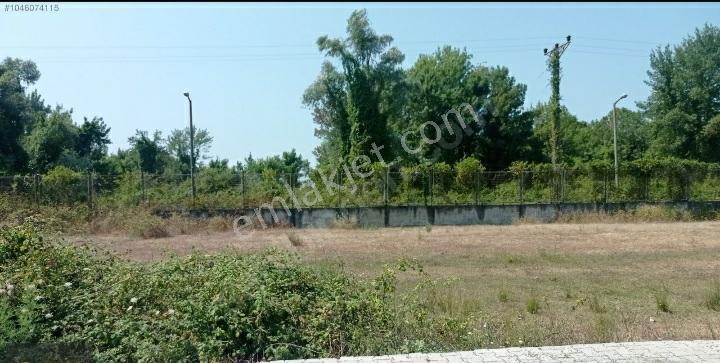 Samsun 19mayıs Ilcesinde Denize 200 Metre Yakınlıkta Prim Yapan Mevkide Villalık Satılık Arsa - Görsel 11