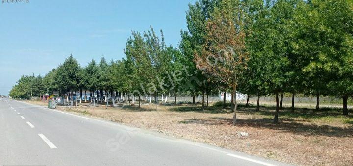 Samsun 19mayıs Ilcesinde Denize 200 Metre Yakınlıkta Prim Yapan Mevkide Villalık Satılık Arsa - Görsel 15