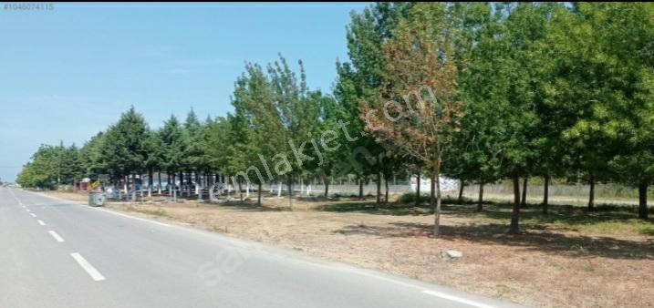 Samsun 19mayıs Ilcesinde Denize 200 Metre Yakınlıkta Prim Yapan Mevkide Villalık Satılık Arsa - Görsel 10