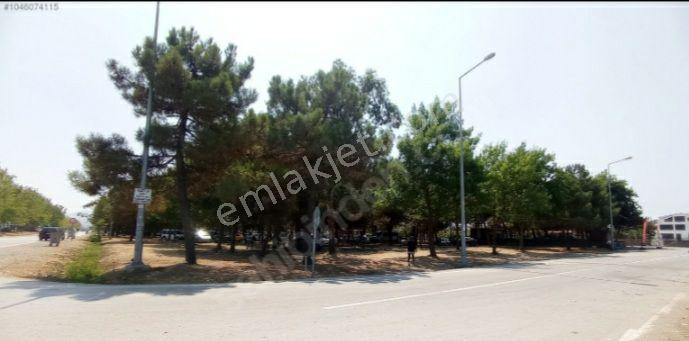 Samsun 19mayıs Ilcesinde Denize 200 Metre Yakınlıkta Prim Yapan Mevkide Villalık Satılık Arsa - Görsel 8
