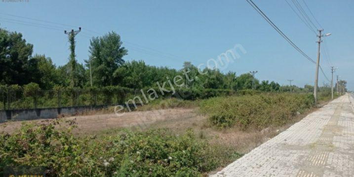 Samsun 19mayıs Ilcesinde Denize 200 Metre Yakınlıkta Prim Yapan Mevkide Villalık Satılık Arsa - Görsel 4
