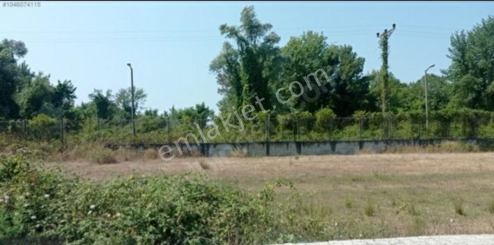 Samsun 19mayıs Ilcesinde Denize 200 Metre Yakınlıkta Prim Yapan Mevkide Villalık Satılık Arsa - Görsel 9
