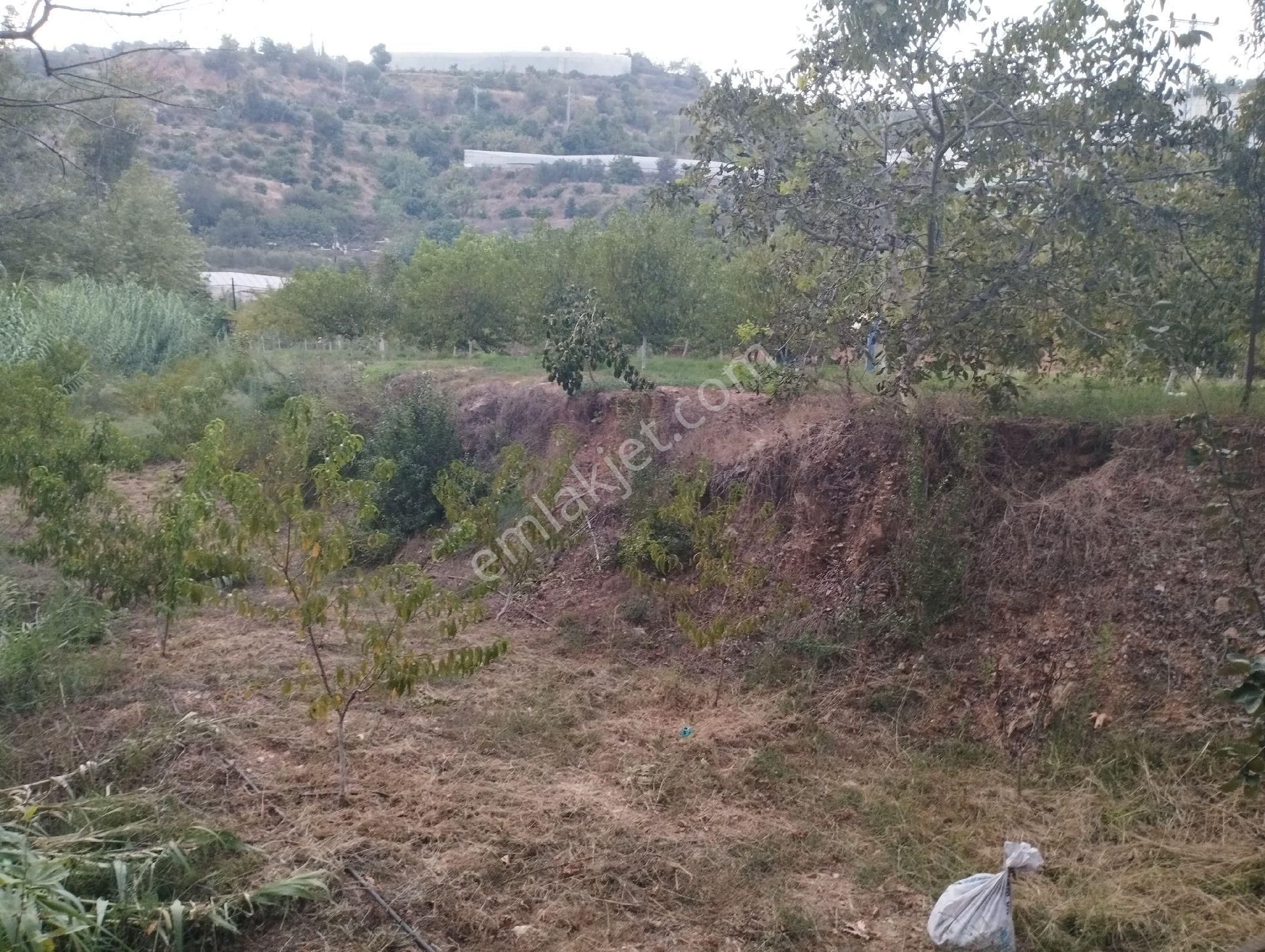 Alanya Gözübüyük Mah. İçinde Ev Satılık Tarla - Görsel 40