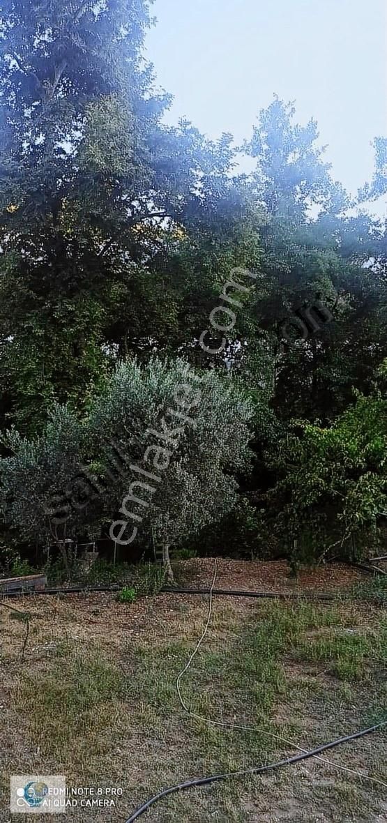 Alanya Gözübüyük Mah. İçinde Ev Satılık Tarla - Görsel 23