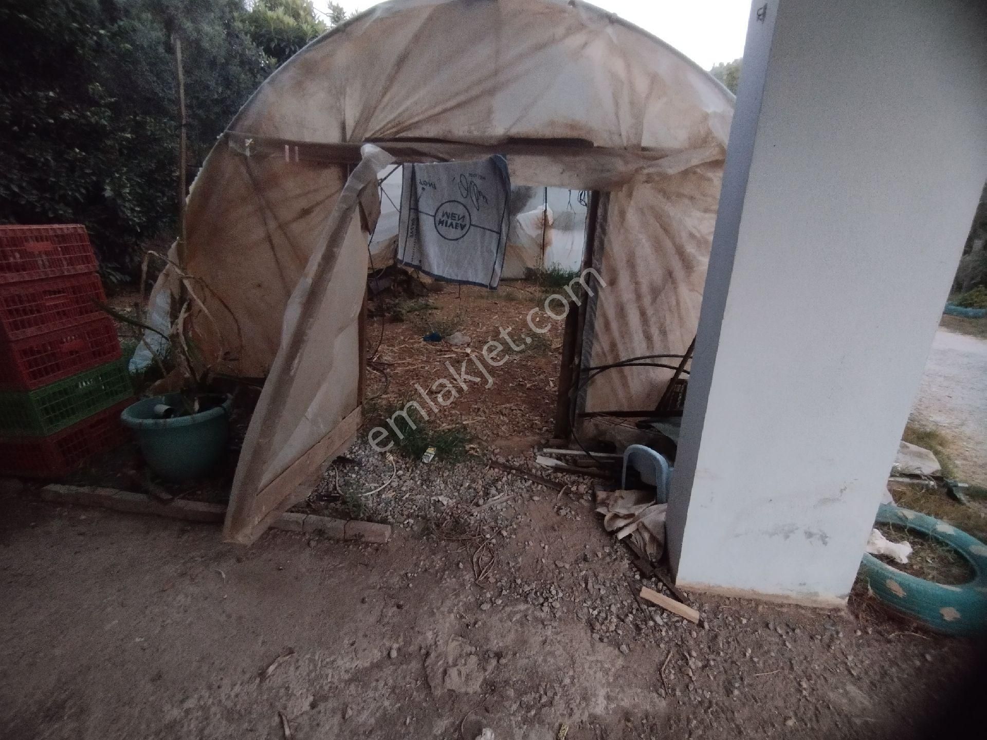 Alanya Gözübüyük Mah. İçinde Ev Satılık Tarla - Görsel 42
