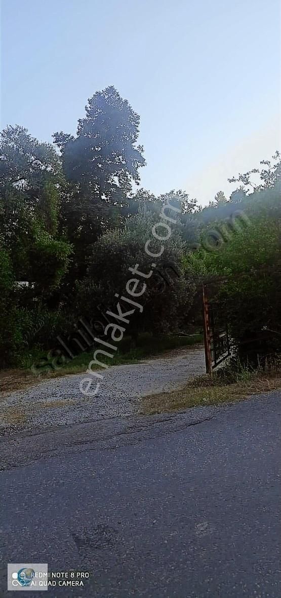 Alanya Gözübüyük Mah. İçinde Ev Satılık Tarla - Görsel 20