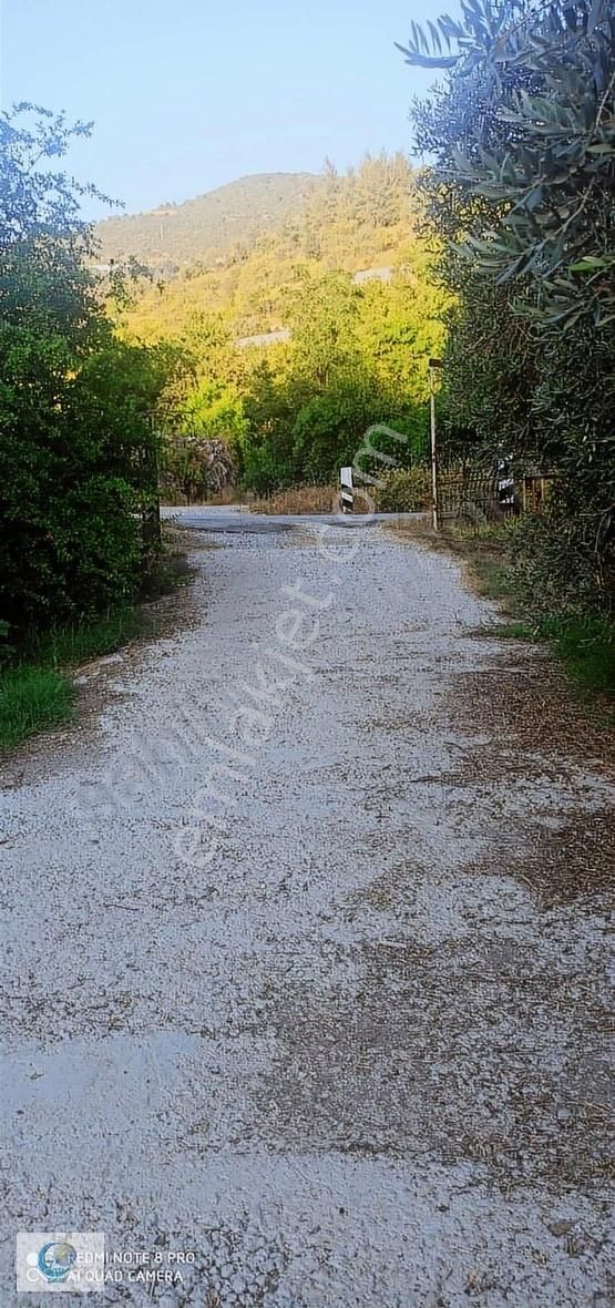 Alanya Gözübüyük Mah. İçinde Ev Satılık Tarla - Görsel 33
