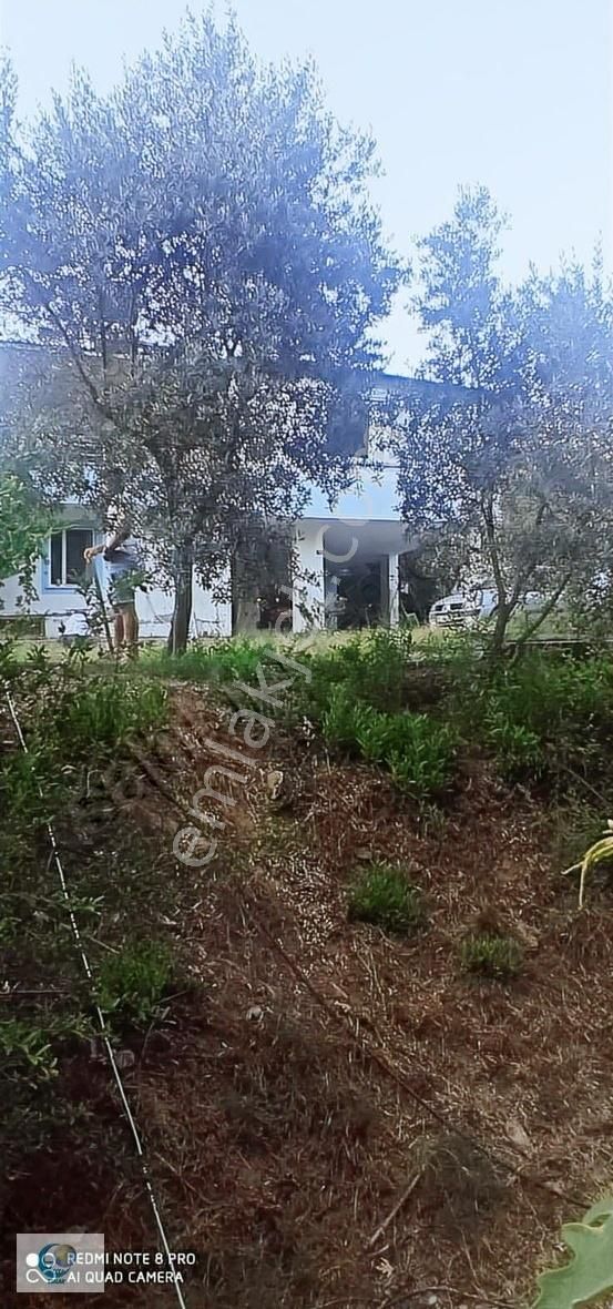 Alanya Gözübüyük Mah. İçinde Ev Satılık Tarla