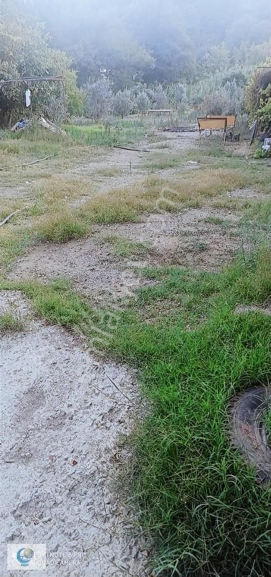 Alanya Gözübüyük Mah. İçinde Ev Satılık Tarla - Görsel 5