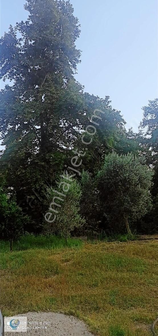 Alanya Gözübüyük Mah. İçinde Ev Satılık Tarla - Görsel 28