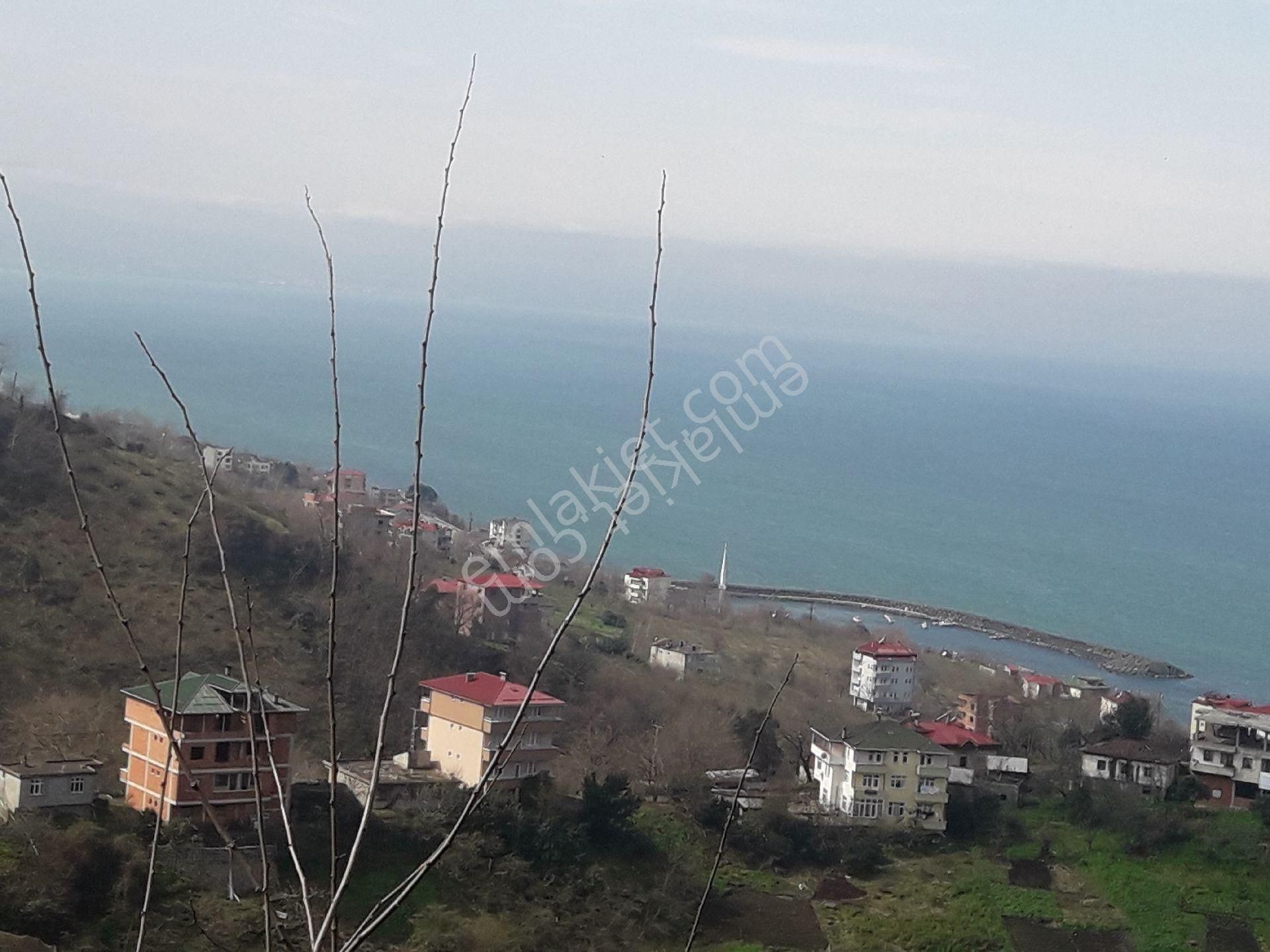 Çarşıbaşı Fenerköy Satılık Konut İmarlı FUME EMLAKTAN SATILIK VİLLALIK ARAZİ