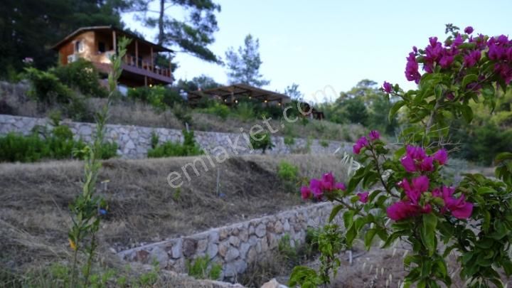 Kumluca Yazır Kiralık Müstakil Ev Antalya Kumluca Olympos ta Aylik Kiralık Ahşap Müstakil Apart Daire...