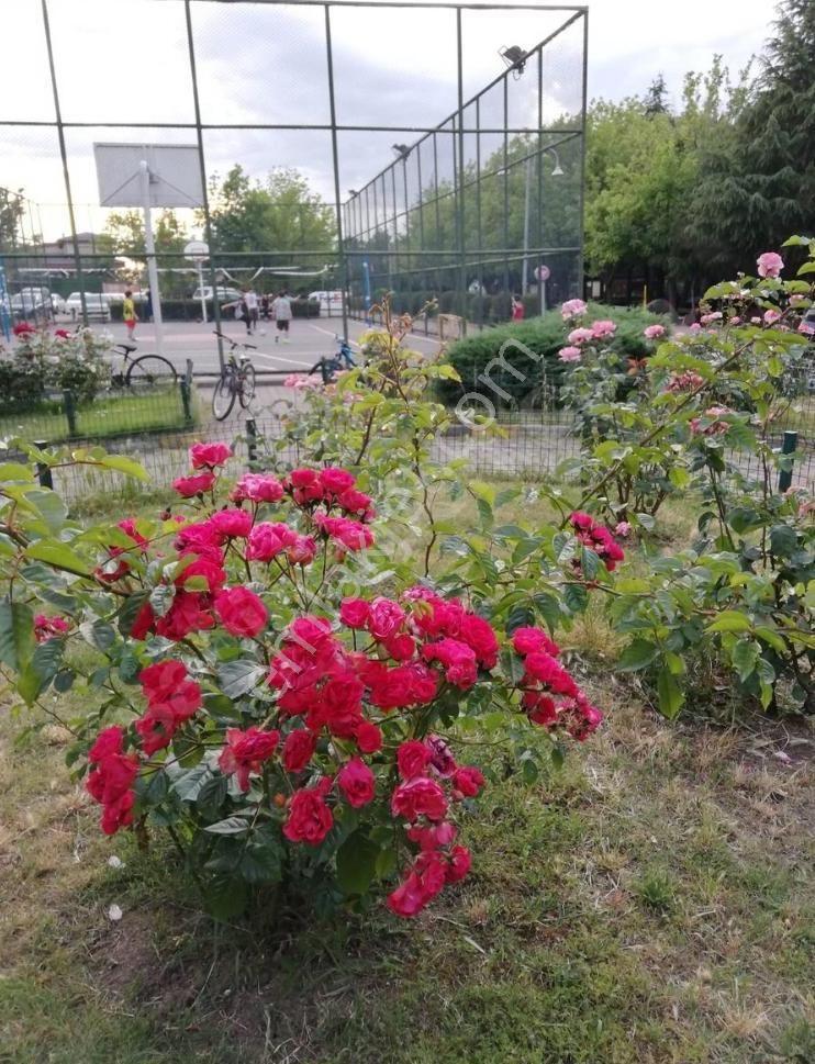 Kavacık Merkez'de Site İçinde Eşyalı 3+1 Kiralık Daire - Görsel 31