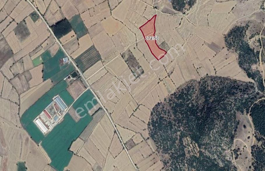 Asya Evim Gayrimenkulden Hamam Mah.satılık Arazi - Görsel 34