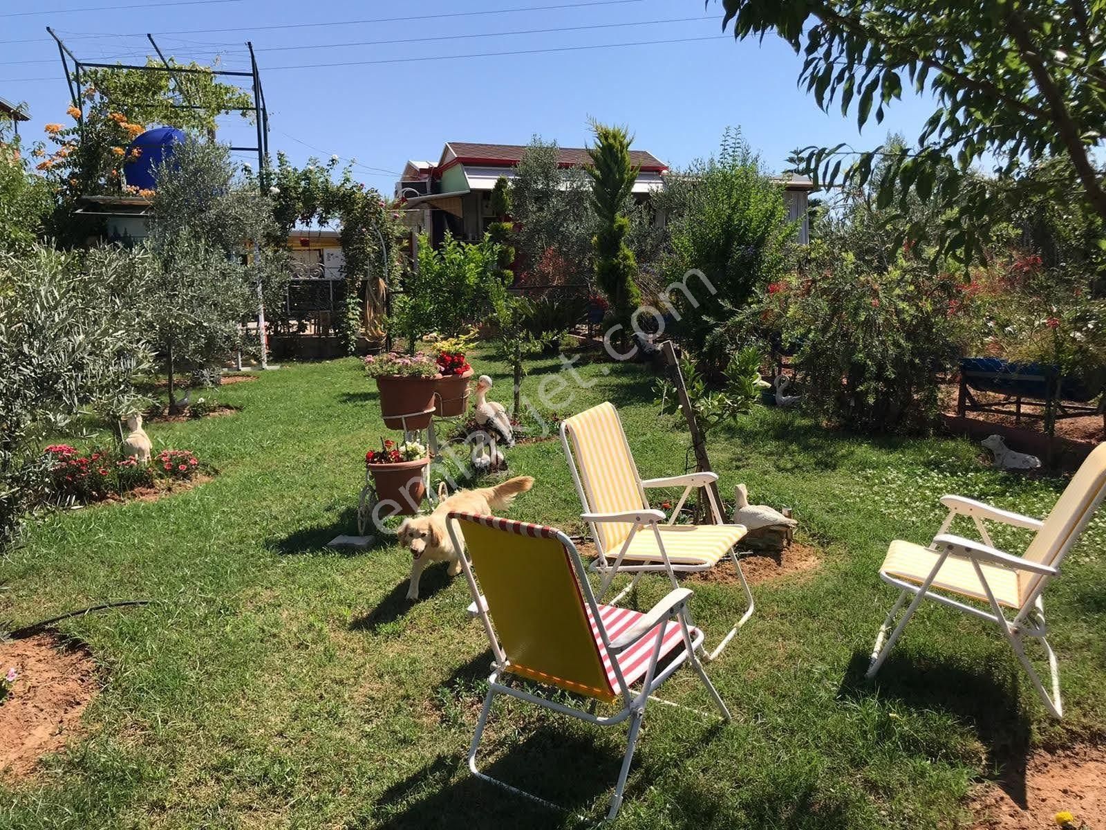 Alanya Avsallar Merkezde Müstakil Arsa 620m Ve İçinde Ev - Görsel 25