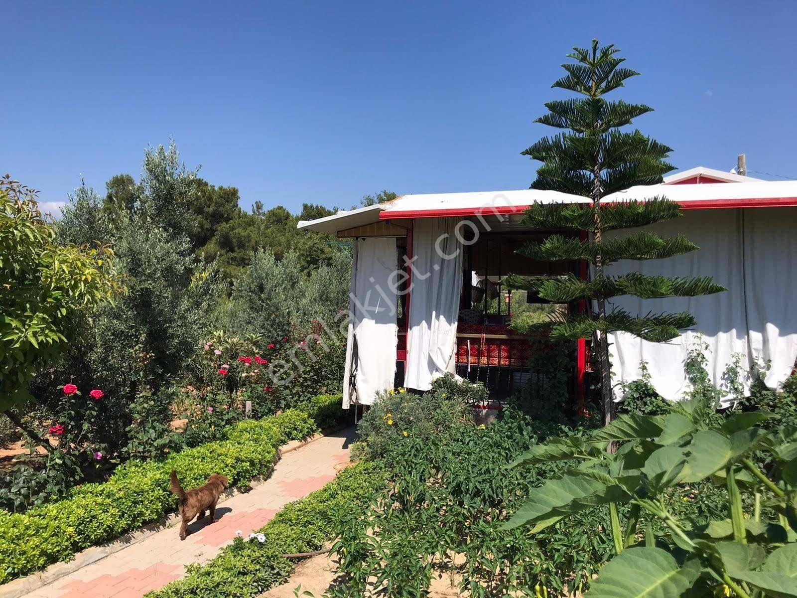 Alanya Avsallar Merkezde Müstakil Arsa 620m Ve İçinde Ev - Görsel 31