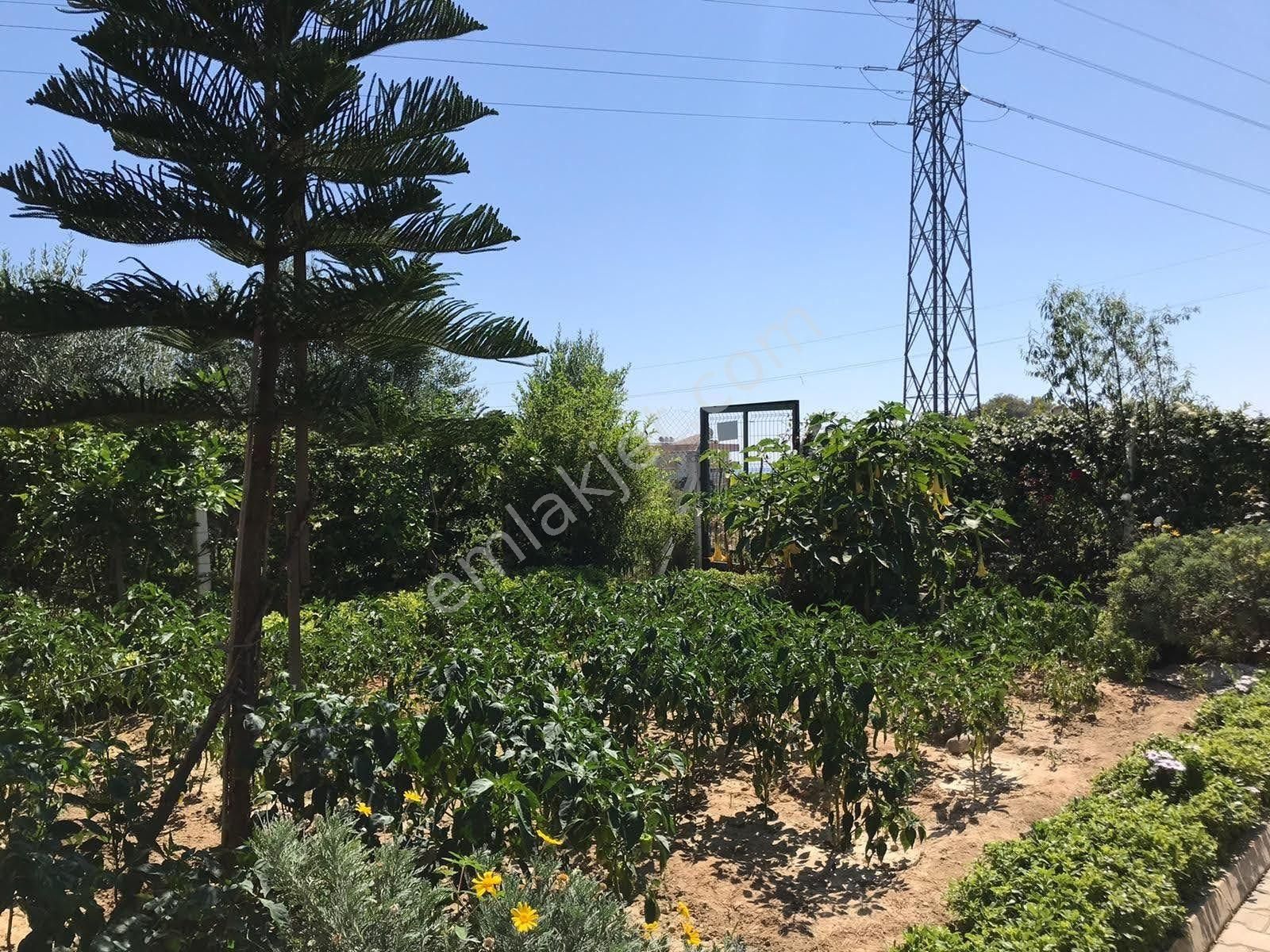 Alanya Avsallar Merkezde Müstakil Arsa 620m Ve İçinde Ev - Görsel 22