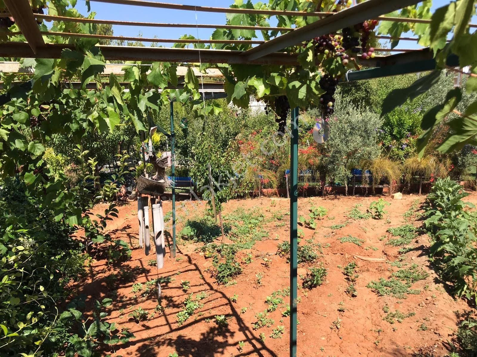 Alanya Avsallar Merkezde Müstakil Arsa 620m Ve İçinde Ev - Görsel 28