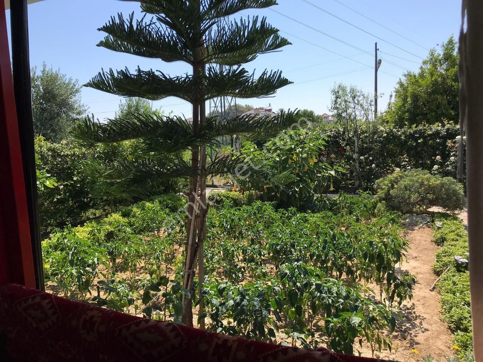 Alanya Avsallar Merkezde Müstakil Arsa 620m Ve İçinde Ev - Görsel 26