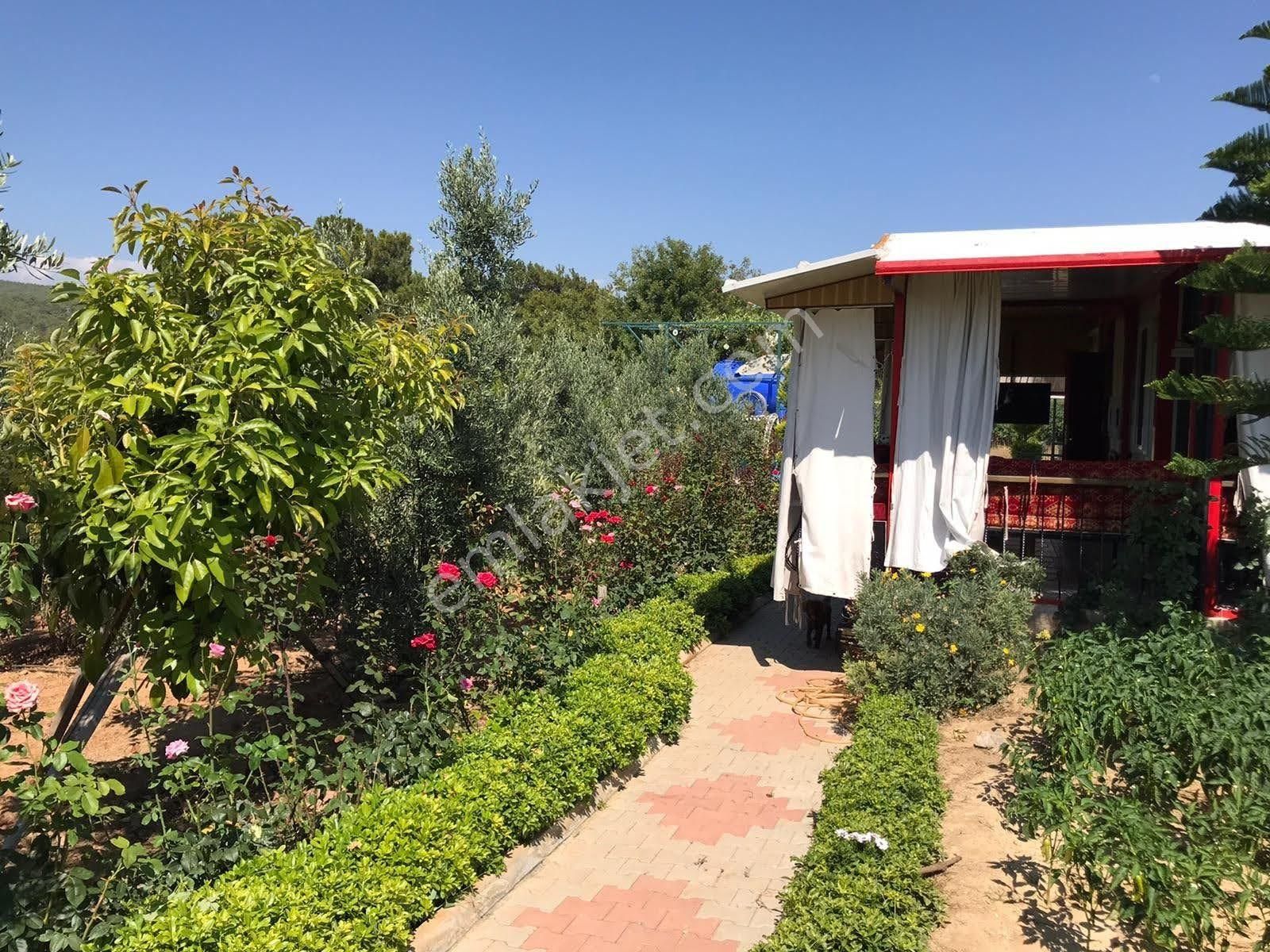 Alanya Avsallar Merkezde Müstakil Arsa 620m Ve İçinde Ev - Görsel 20