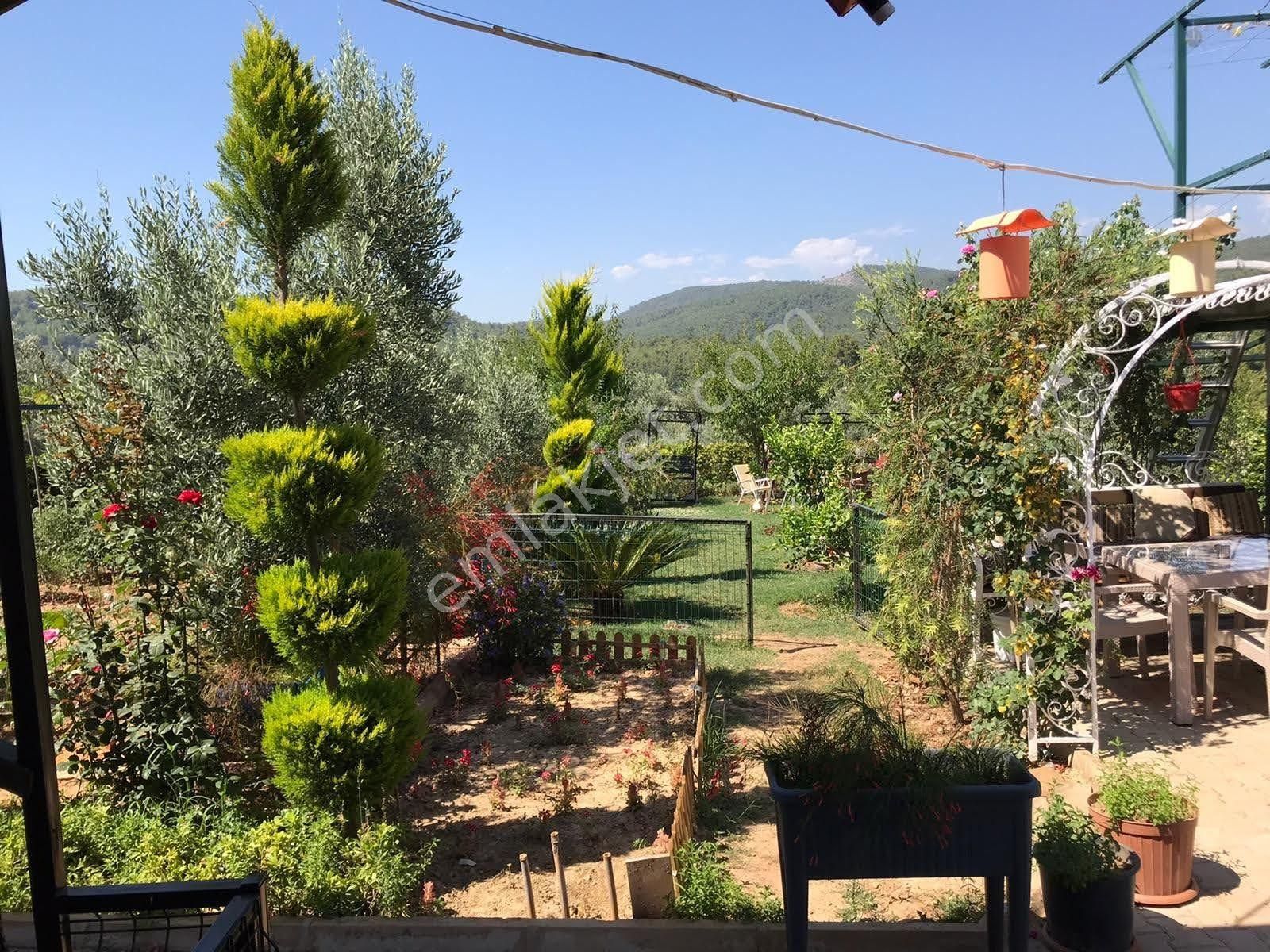 Alanya Avsallar Merkezde Müstakil Arsa 620m Ve İçinde Ev - Görsel 29