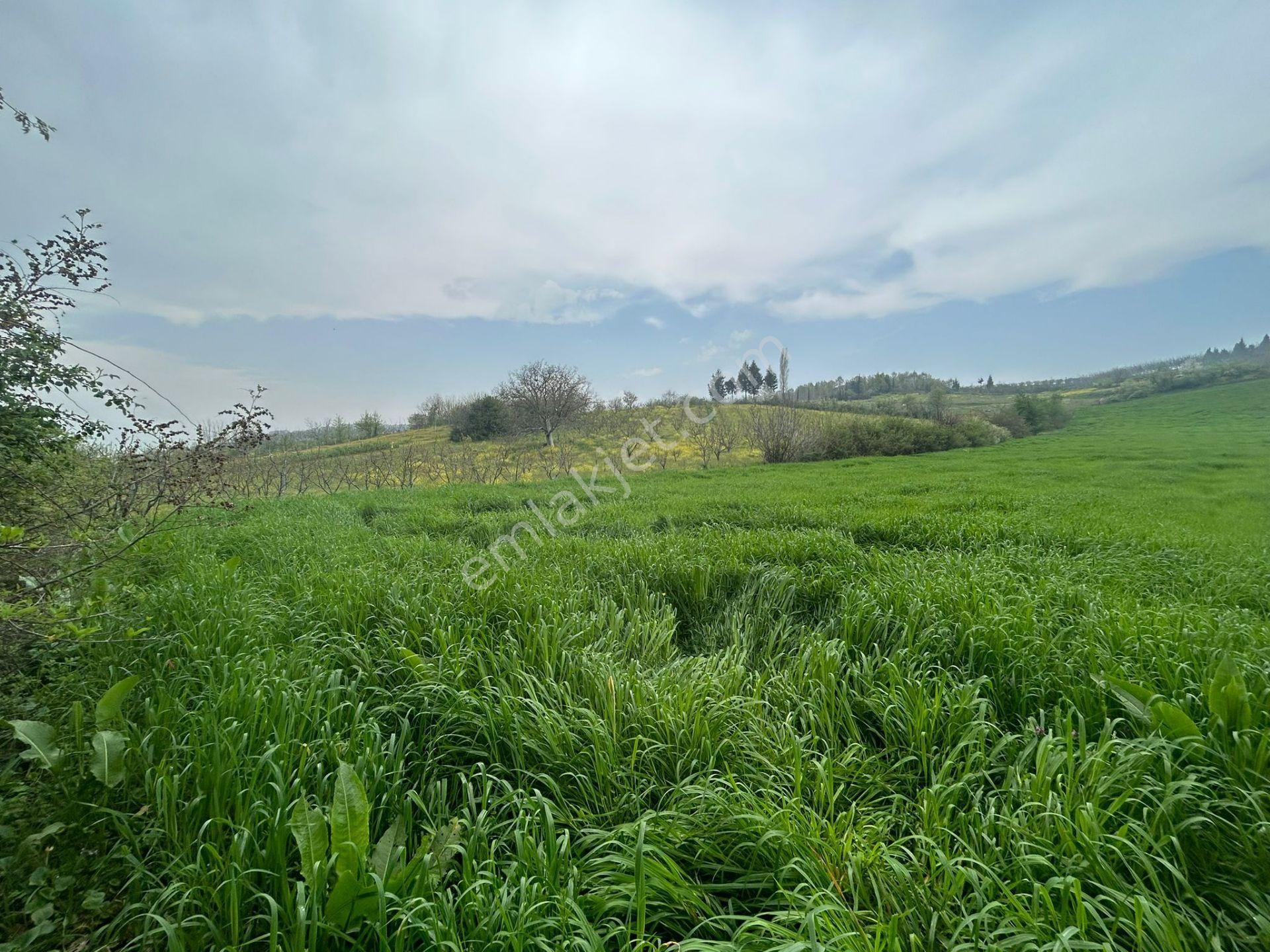 Kocaeli Karamürsel Akçat Mahallesi 16073 M2 Tarla - Görsel 7