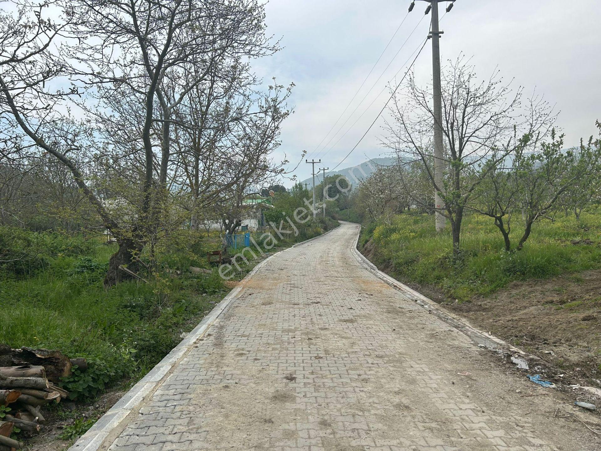 Kocaeli Karamürsel Akçat Mahallesi 16073 M2 Tarla - Görsel 14