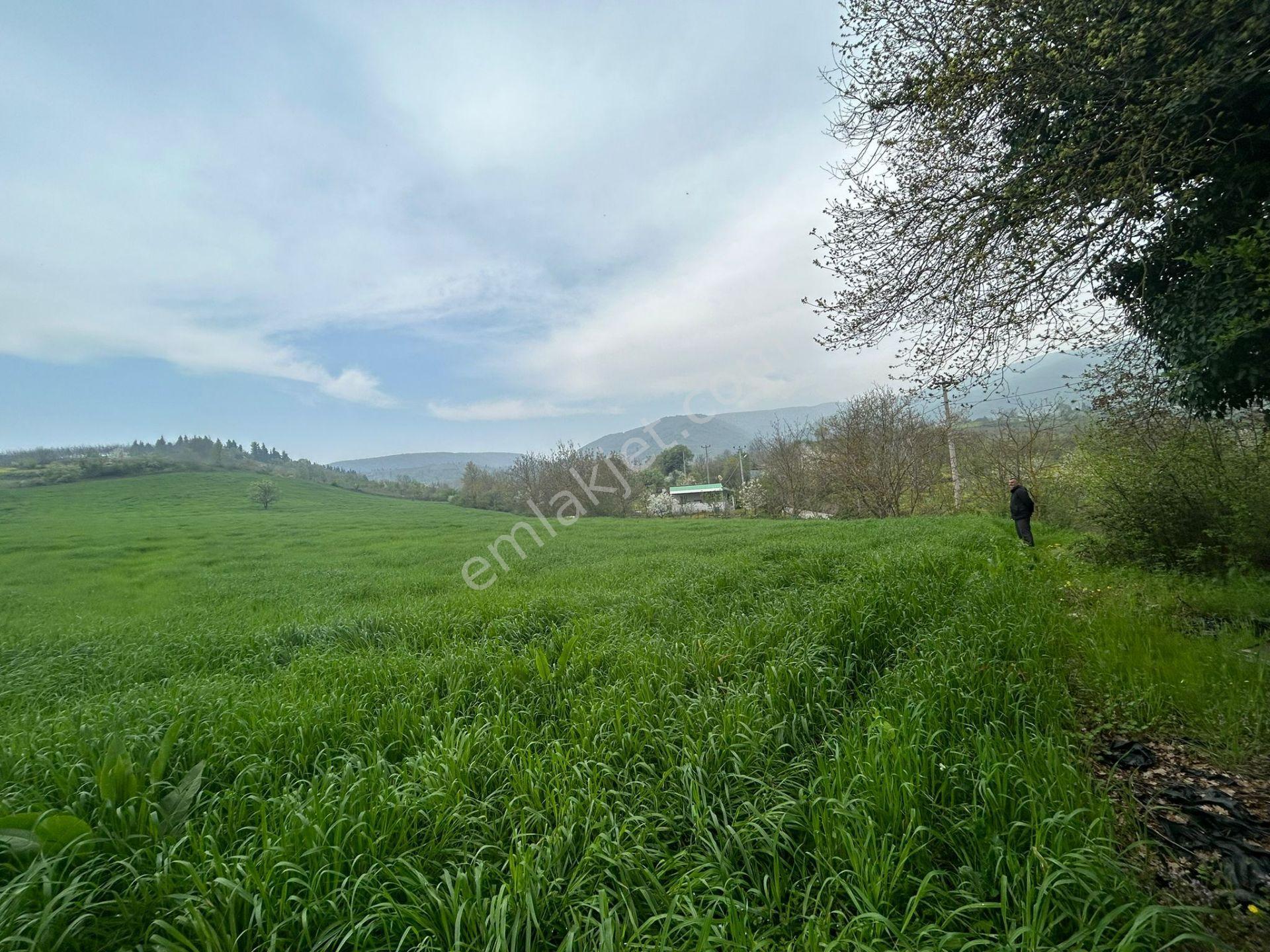 Kocaeli Karamürsel Akçat Mahallesi 16073 M2 Tarla - Görsel 2