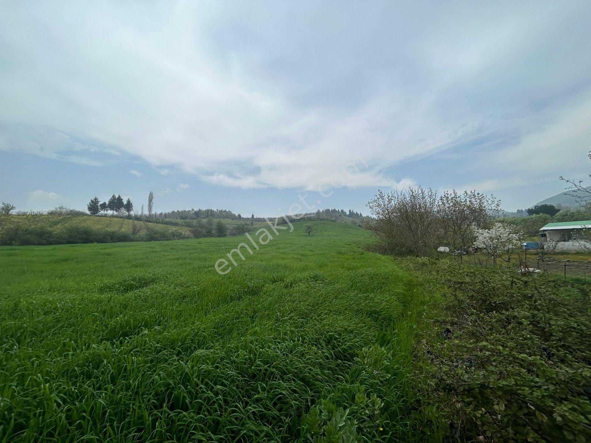Kocaeli Karamürsel Akçat Mahallesi 16073 M2 Tarla - Görsel 11