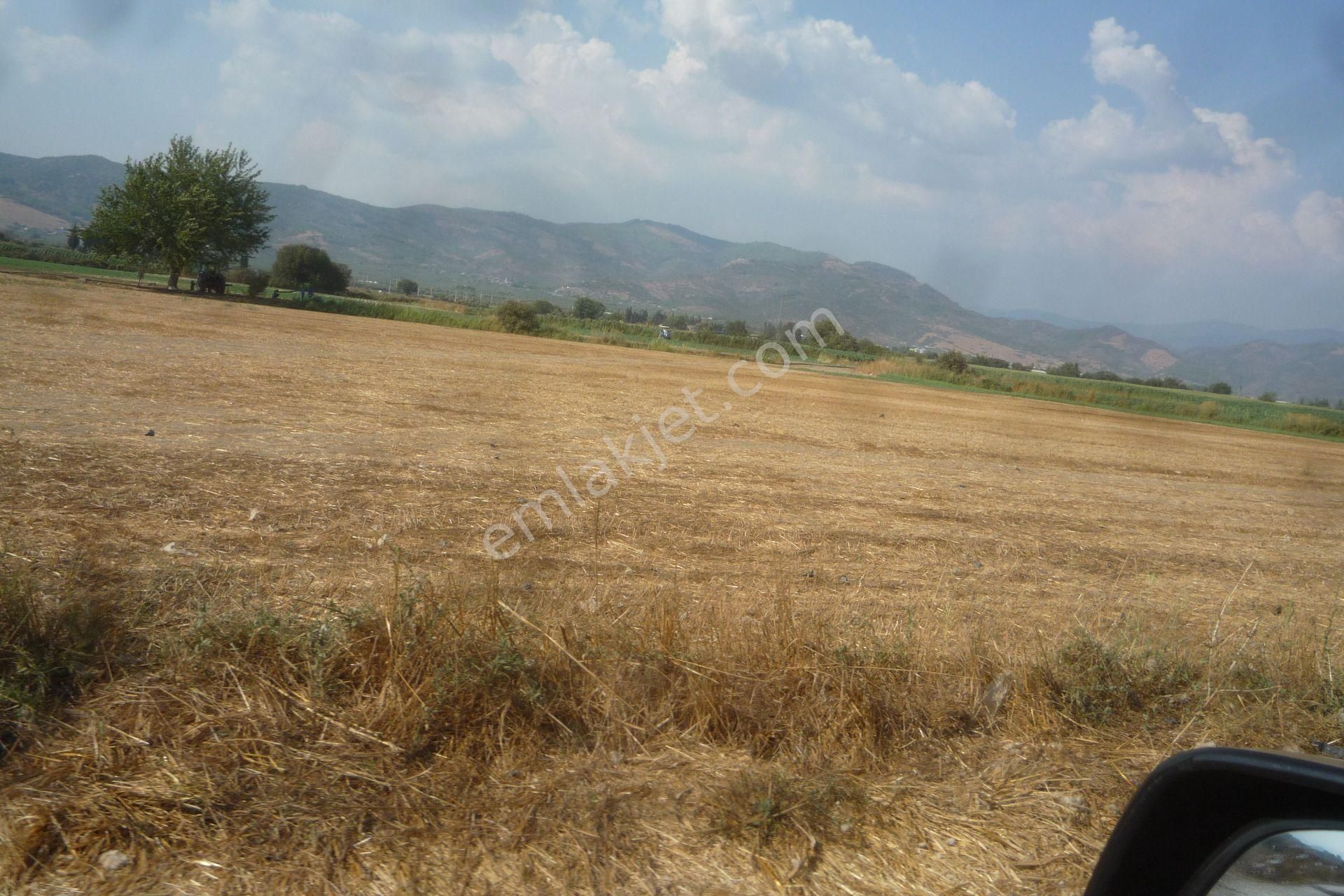 İzmir Torbalı Gold Emlaktan Satılık Tarla - Görsel 5