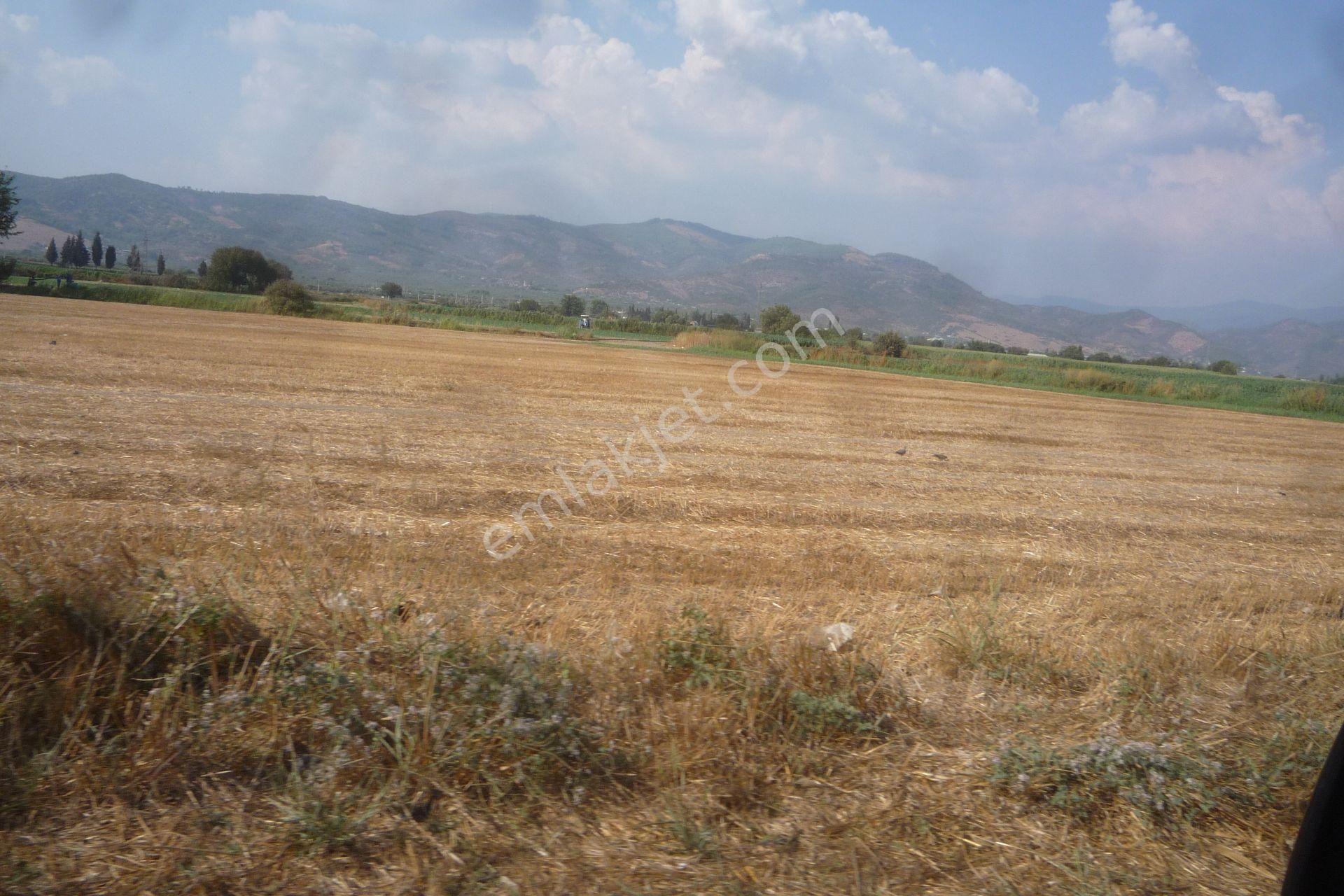 İzmir Torbalı Gold Emlaktan Satılık Tarla - Görsel 2