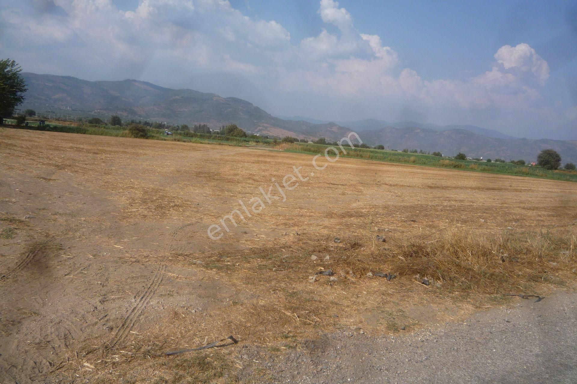 İzmir Torbalı Gold Emlaktan Satılık Tarla - Görsel 4
