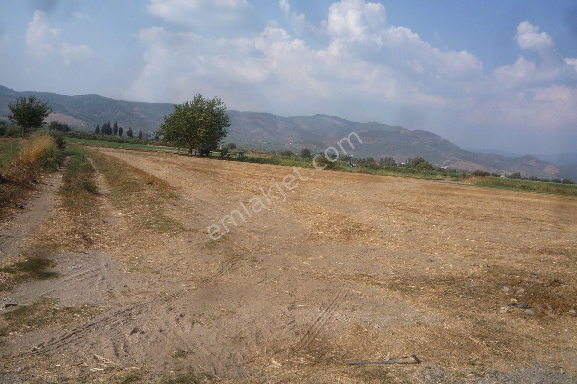 İzmir Torbalı Gold Emlaktan Satılık Tarla - Görsel 3