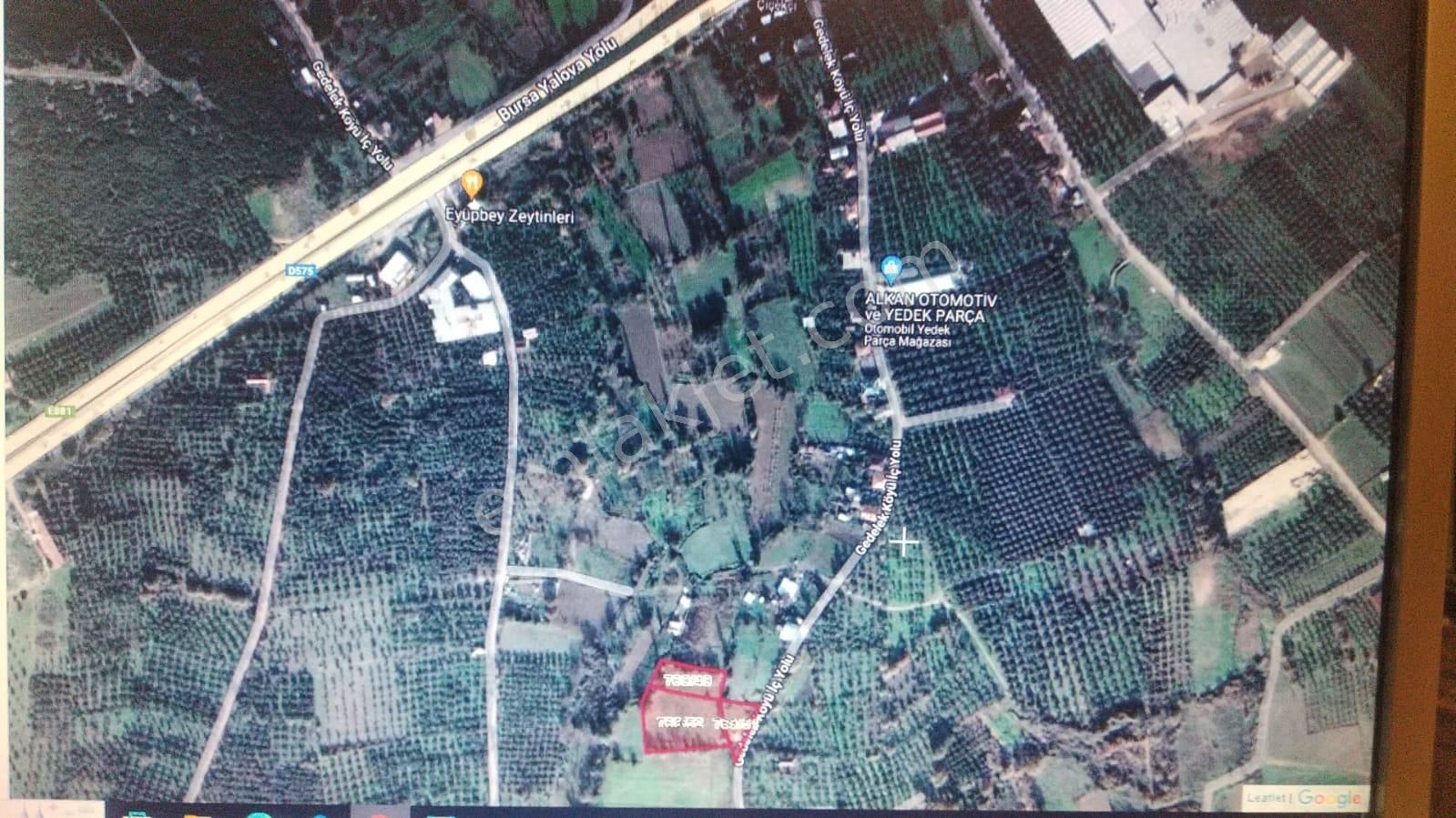 Gedelekte Bitişik 3 Parsel 5.309 M2 Arazi - Görsel 6
