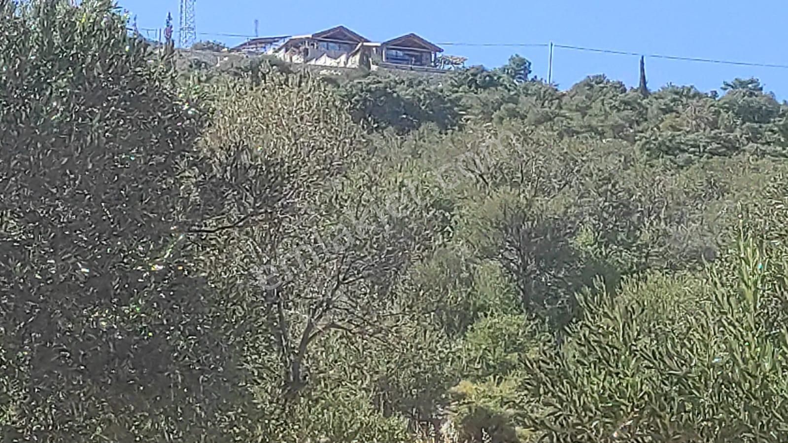 Antalya Kaş Yeşilköy'de Satılık Tarla. - Görsel 7