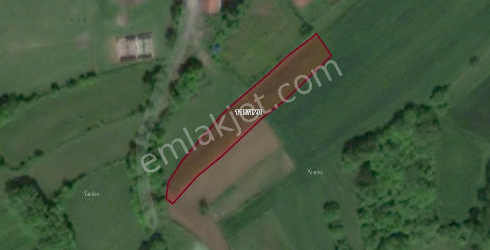 Kocaeli Balcı 1.143 M2 Satılık - Görsel 5