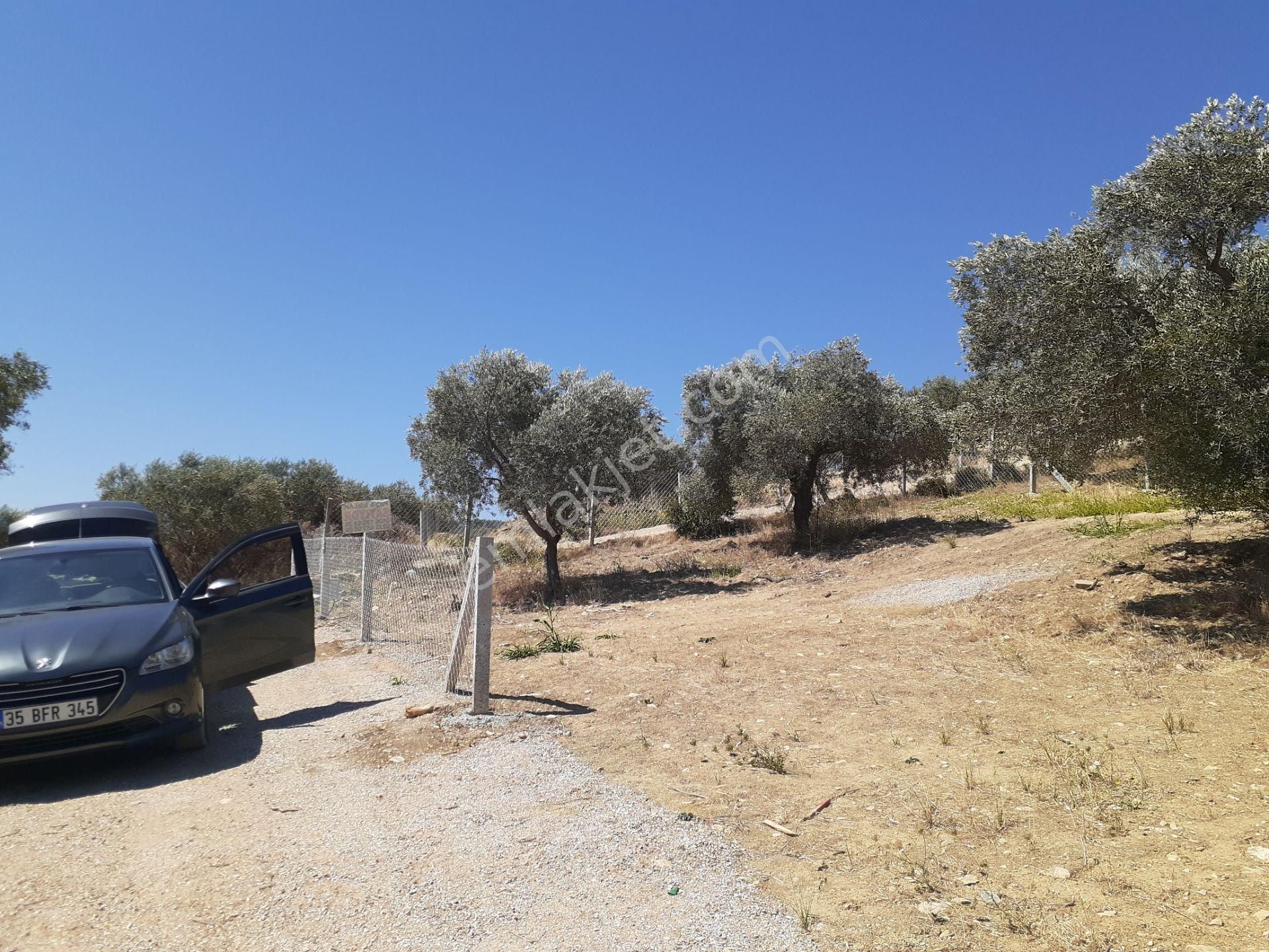 Torbalı Bozköyde Satılık Tarla - Görsel 4