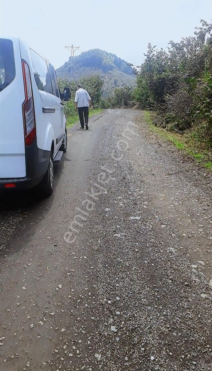 Terme Gündoğdu Satılık Tarla SAMSUN TERME GUNDOGDU DA ANOYOLA 150 MMESAFEDE SATILIK FINDIKLIK