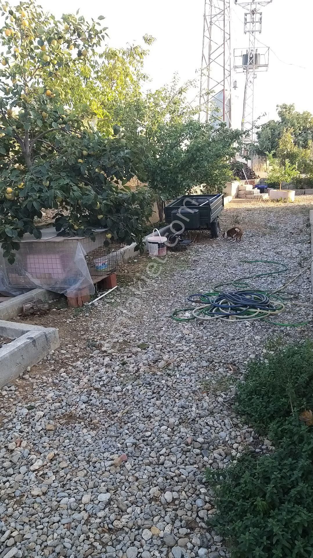 Emlak dan zmir Kemalpa a Ba yurdu Yeni Mahallesi Sat l k Tarla 