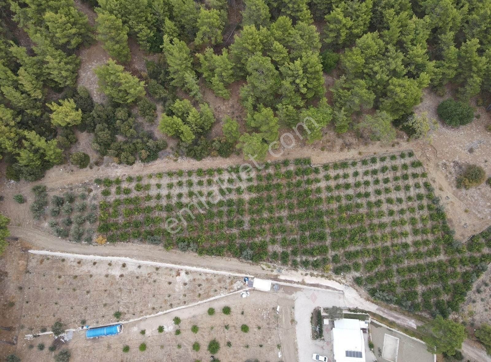 Kumluca Adrasan Satılık Tarla BMK EMLAKTAN ANTALYA KUMLUCA ADRASAN KARŞIYAKA SATILIK NAR BAHÇESİ