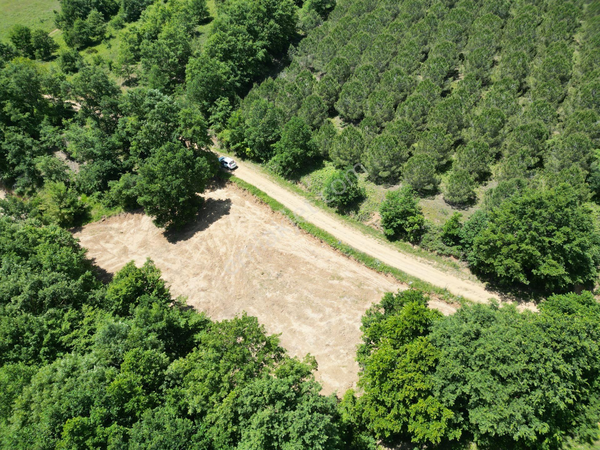 İznik Bayındır Satılık Tarla Bursa İznik Bayındır Mahallesi 2100 M2 Satılık Tarla