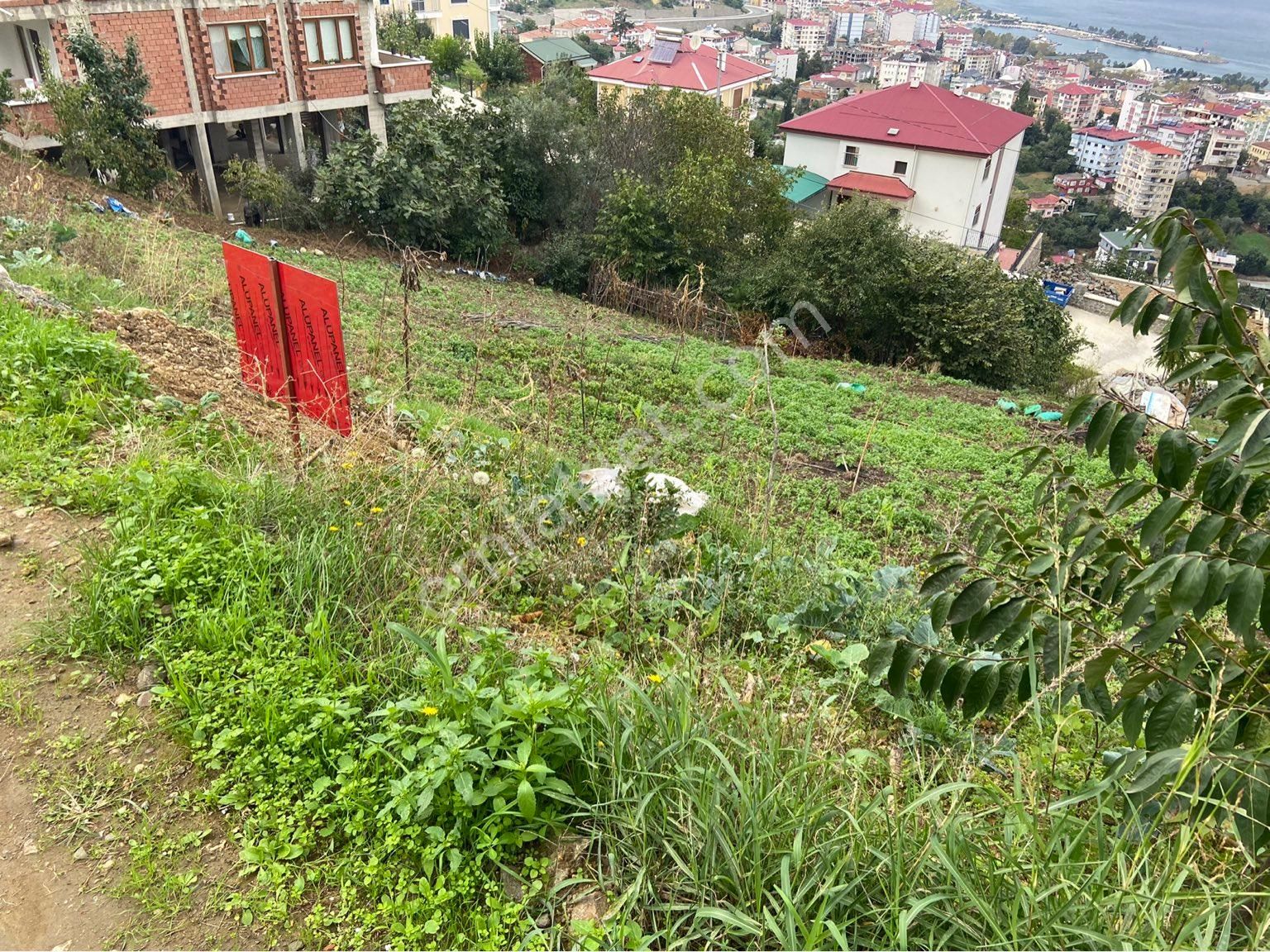 Akçaabat Sarıtaş Satılık Konut İmarlı  RAVZA  YAPI GAYRİMENKULDEN  671 M2 KONUT İMARLI SATILIK ARSA