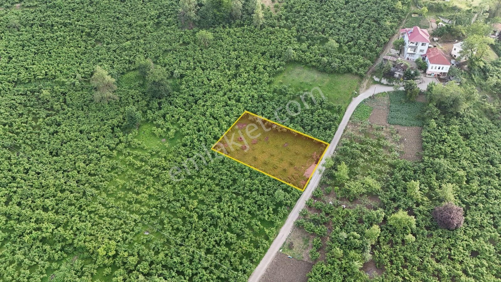 Şahinoğlu Emlaktan Trabzon Derecik'te 845 M2 Müstakil, Düz 2 Adet Arsa. - Görsel 18