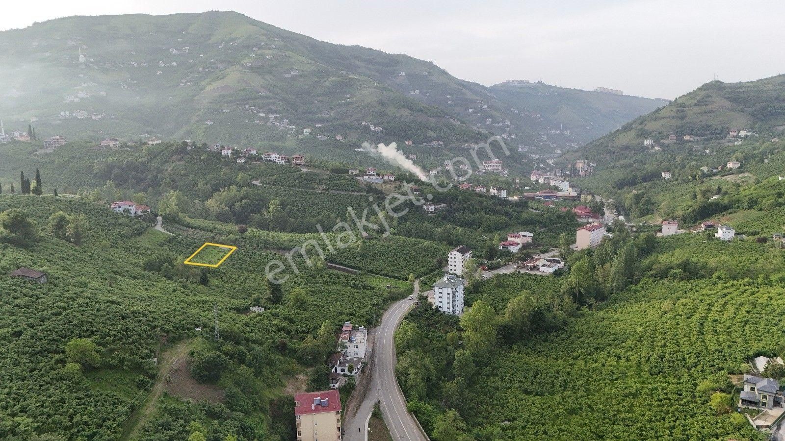 Trabzon Derecik'te 845 M2 Müstakil, Düz Arsa